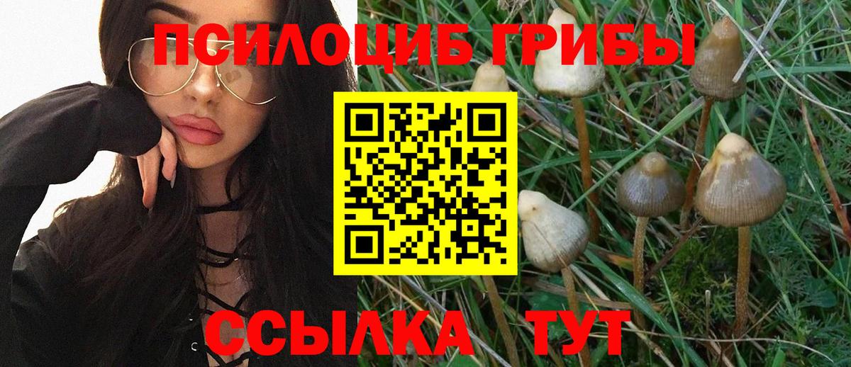 Галлюциногенные грибы ЛСД Ирбит