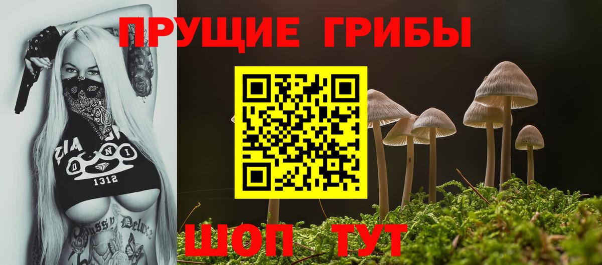 Галлюциногенные грибы Magic Shrooms  Галлюциногенные грибы ЛСД  Ирбит  как найти закладки  Вход с VPN 